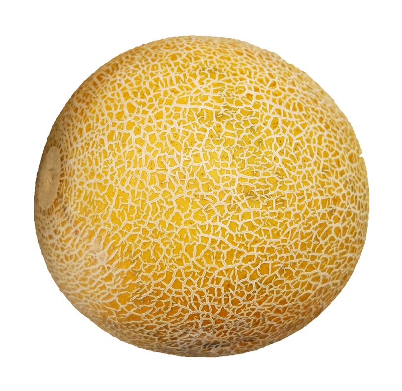 galia melon image, galia melon png, galia melon png image, galia melon transparent png image, galia melon png full hd images